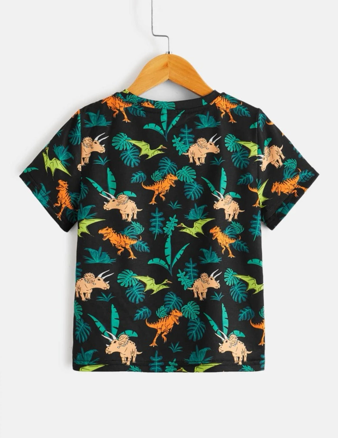 Camiseta Dinosaurio AN02